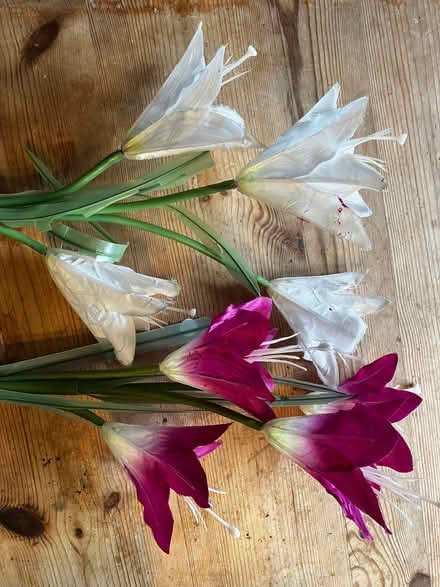 Photo of free Solar powered artificial flower lights (Walton Manor OX2) #2