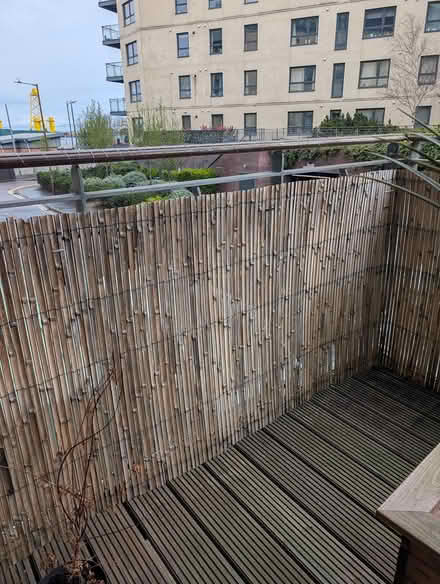 Photo of free Bamboo screening 3.7m (roughly) (Leith EH6) #1
