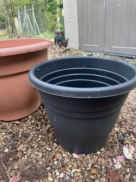Photo of free Black plastic plant pot (Garston WD25) #2