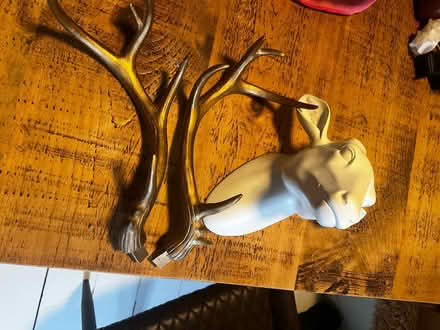 Photo of free Plastic ornamental deer head (Queens Park) #3