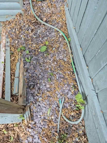 Photo of free Grey stone chippings #2 (Hornchurch RM12) #3