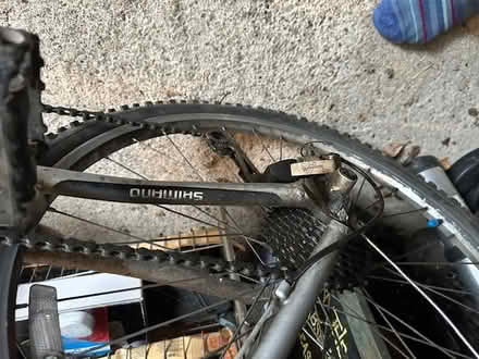 Photo of free Ridgeback adult's bike (Central Bishop's Castle) #2