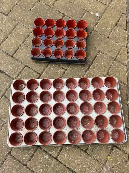 Photo of free Seed trays with 5cm pots (Downhead Park MK15) #1