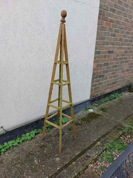 Photo of free Plant Support 5' high (North Tonbridge TN10) #1