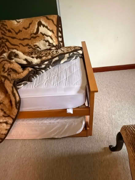 Photo of free Single trundle bed (KT22 oxshott) #3