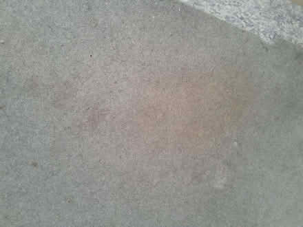 Photo of free Large piece of light grey carpet 330x254 (Grassmarket EH1) #3