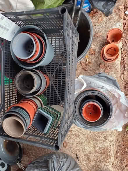 Photo of free Plastic plant pots various sizes (Lambridge BA1) #1