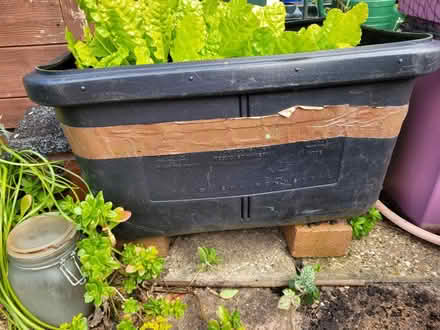 Photo of Tub (Canford Heath BH17) #1