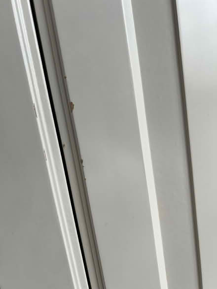 Photo of free Wardrobe doors from IKEA (Thornhill So196hf.) #2