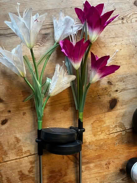 Photo of free Solar powered artificial flower lights (Walton Manor OX2) #1