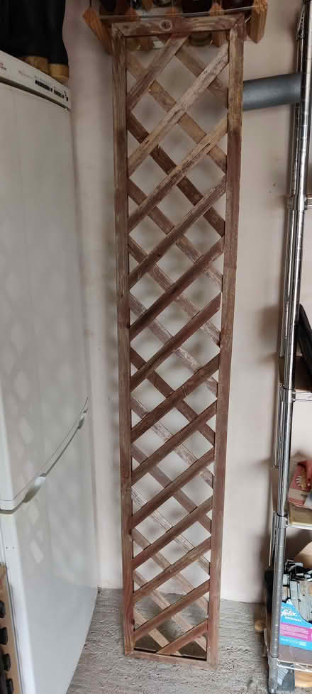Photo of free Piece of trellis (Steventon OX13) #1