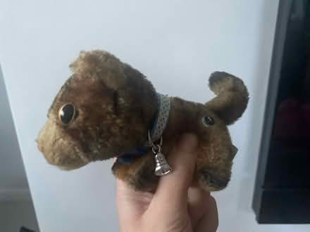 Photo of free The Cat Collection Plush Toys (Macclesfield SK10) #3