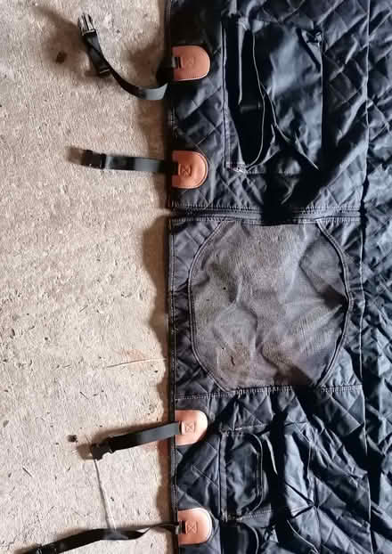Photo of free Rear seat dog covering/seat/guard (Hollybush NP44) #3