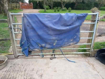 Photo of free Horse rug/sheet 6ft 3in (Battle TN33) #2