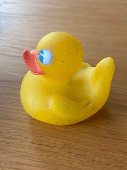 Photo of free Rubber duck (L1) #1