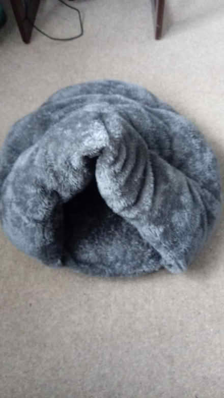 Photo of free Pet bed (Horsham, near Bennetts Field) #1