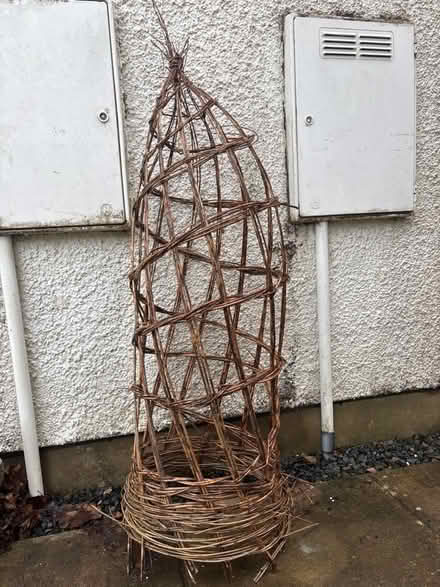Photo of free Willow plant support approx 1.2m (Oxenholme LA9) #1