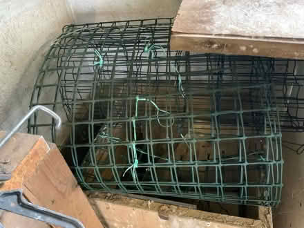 Photo of free Wire mesh (TR15) #1