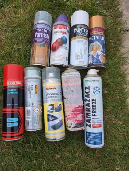 Photo of free Paints (Calcot RG31) #3