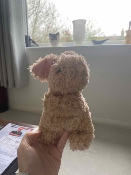 Photo of free Easter bunny cuddly toy (Macclesfield SK10) #1