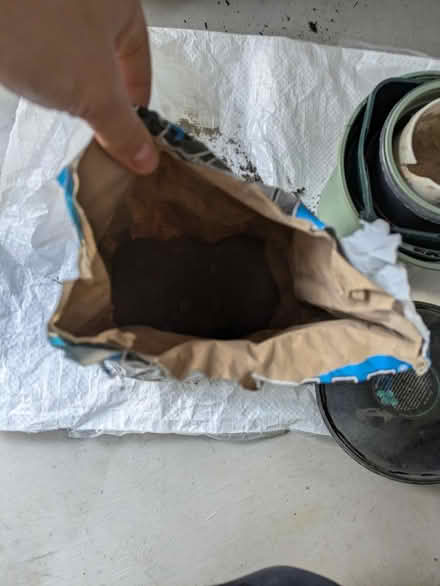 Photo of free Cement and building sand (Leeds LS8) #2