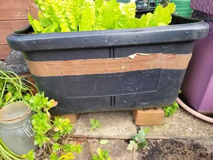 Photo of Tub (Canford Heath BH17) #2