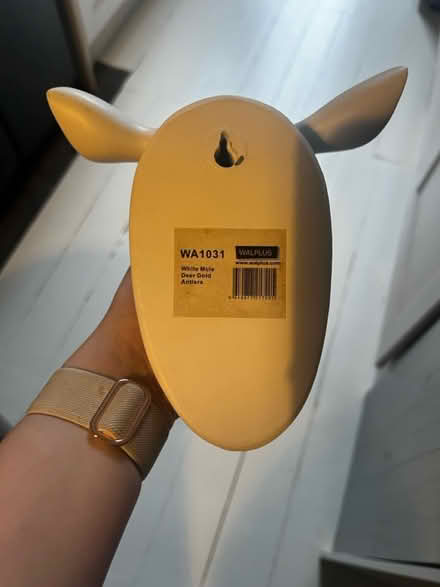 Photo of free Plastic ornamental deer head (Queens Park) #4