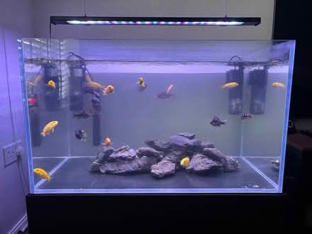 Photo of free Aquarium (Whinmoor LS14) #1