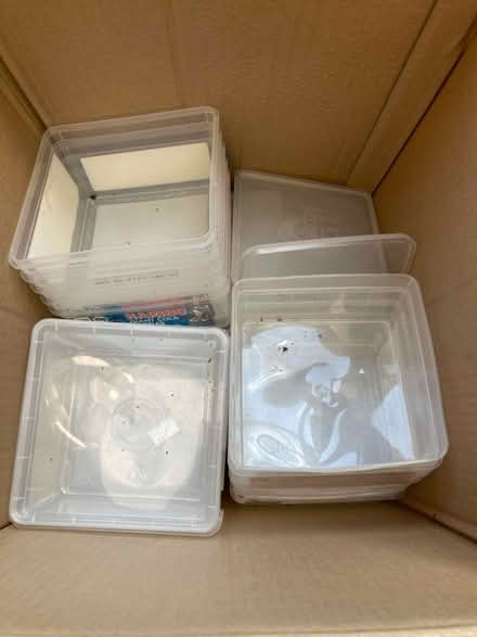 Photo of free Box of empty plastic lidded boxes (Cubbington CV32) #1
