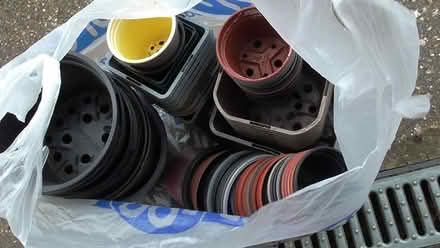 Photo of free Flower pots (St Albans AL4) #1