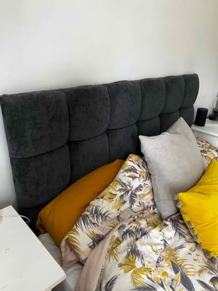 Photo of free Grey velvet king size headboard (Queens Park) #1