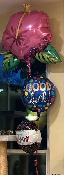 Photo of free Retirement baloons (Santa Clara) #1