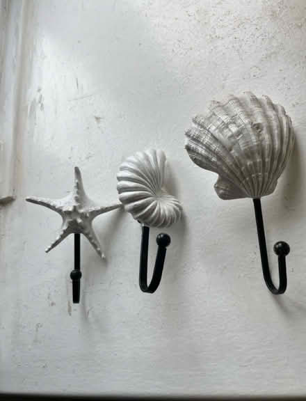 Photo of free shell hooks (Hyde Park LS6) #1