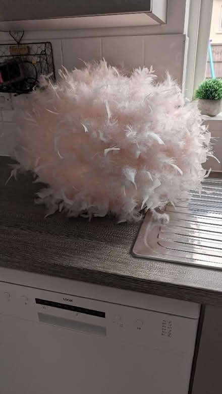 Photo of free Large pink feather lamp shade (Montgomery Lines GU11) #1