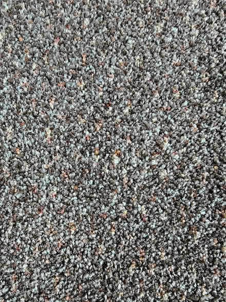 Photo of free Carpet offcut (Shelton SY3) #1