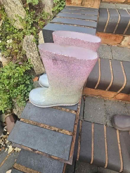 Photo of free Next Glitter Wellies (Hall green B28) #3