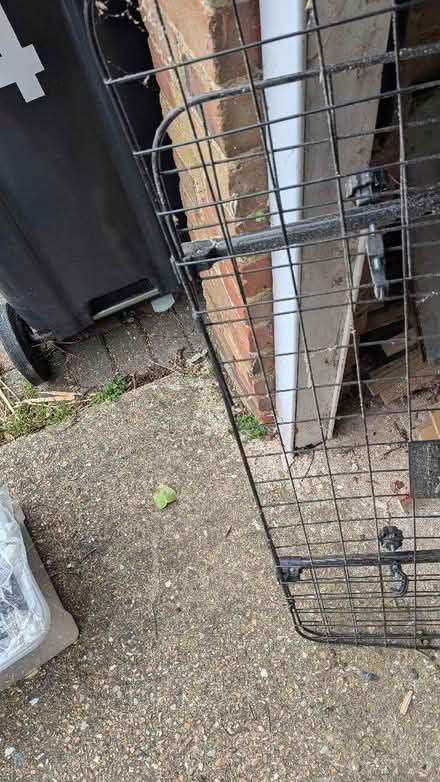 Photo of free Universal Dog Guard For Car (CT10) #2