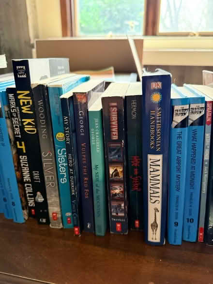 Photo of free Books for Preteens (Campton Hills) #2