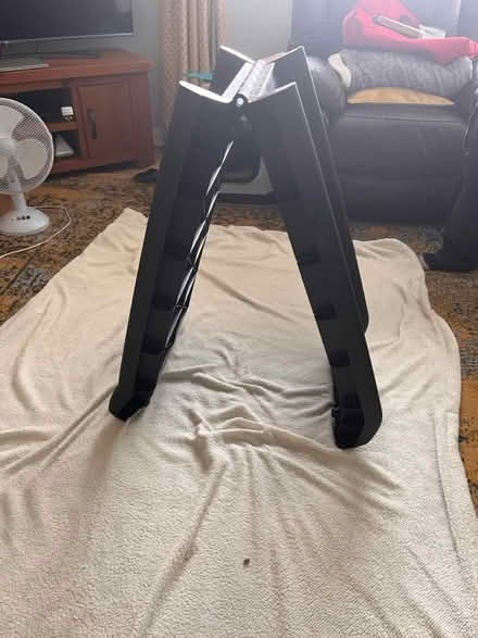 Photo of free Dog car ramp (dn10 4jl) #2