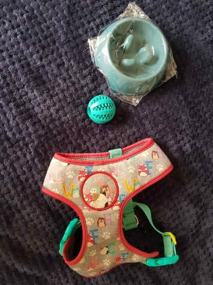 Photo of free Things for a puppy (TW74, Isleworth) #1