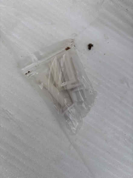 Photo of free New toilet seat (Windsor SL4) #3