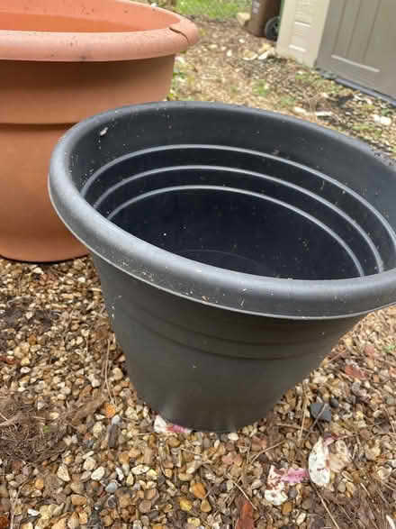 Photo of free Black plastic plant pot (Garston WD25) #1