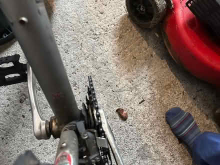 Photo of free Ridgeback adult's bike (Central Bishop's Castle) #3