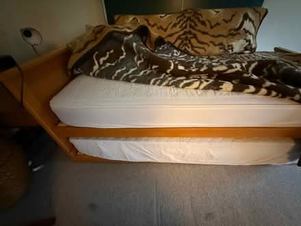 Photo of free Single trundle bed (KT22 oxshott) #2