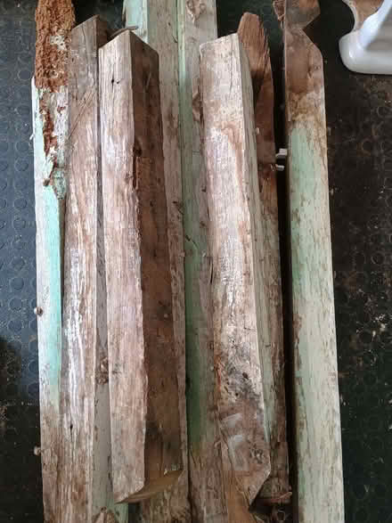 Photo of free Oak timbers (Guilsfield SY21) #1