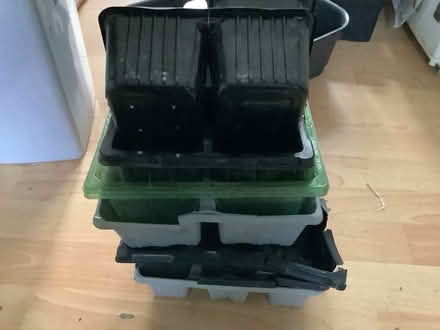 Photo of free Plastic Plant Pots (Brampton S40) #1