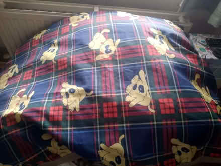 Photo of free dog bed (Mousehold NR3) #1