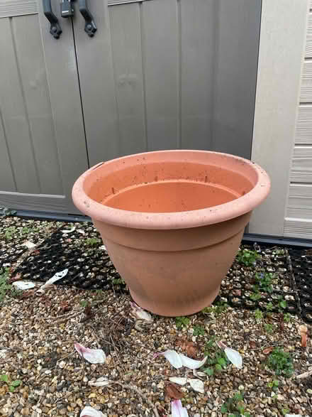 Photo of free Huge plastic garden plant pot (Garston WD25) #1