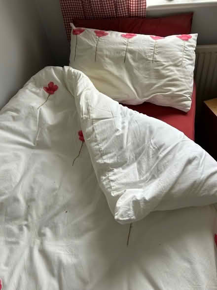 Photo of free Single bedding set (Barkham RG41) #1