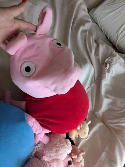 Photo of free Piggies (Sutton Manor WA8) #1